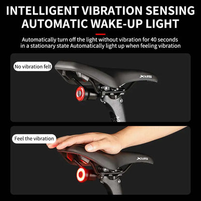 BIKINLITE USB Rechargeable Waterproof Brake Sensing Bicycle Rear Light